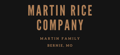 martin rice logo