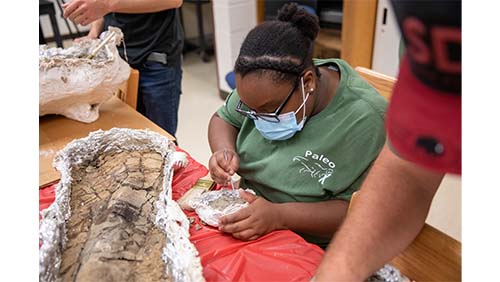Southeast students clean dinosaur fossils.